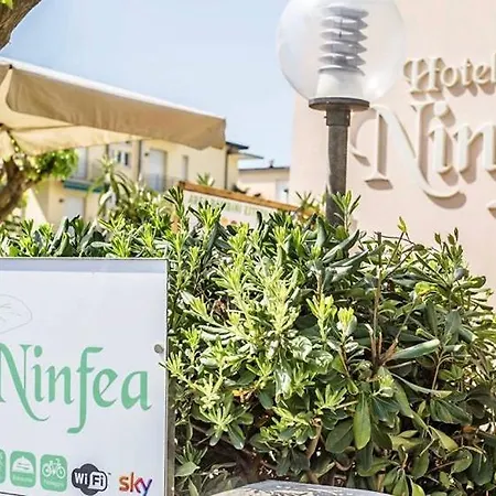 Ninfea チェルヴィア
